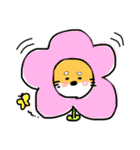 しばちょんぬ4（個別スタンプ：30）