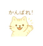 優しくて可愛い猫さん【日常挨拶】（個別スタンプ：9）