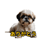 犬好きなスタンプ101（個別スタンプ：2）