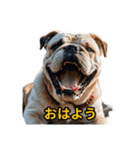 犬好きなスタンプ101（個別スタンプ：3）