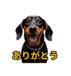犬好きなスタンプ101（個別スタンプ：4）