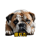 犬好きなスタンプ101（個別スタンプ：5）