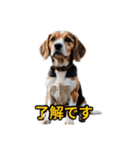 犬好きなスタンプ101（個別スタンプ：7）