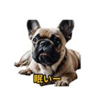 犬好きなスタンプ101（個別スタンプ：8）