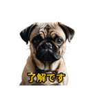 犬好きなスタンプ101（個別スタンプ：9）