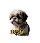 犬好きなスタンプ101（個別スタンプ：11）