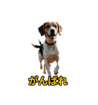 犬好きなスタンプ101（個別スタンプ：12）