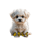 犬好きなスタンプ101（個別スタンプ：13）
