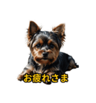 犬好きなスタンプ101（個別スタンプ：15）