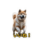 犬好きなスタンプ101（個別スタンプ：18）