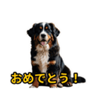 犬好きなスタンプ101（個別スタンプ：21）