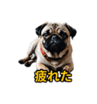 犬好きなスタンプ101（個別スタンプ：24）