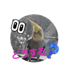 みんなと一緒 32（個別スタンプ：3）