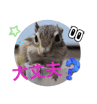 みんなと一緒 32（個別スタンプ：4）
