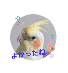 みんなと一緒 32（個別スタンプ：5）