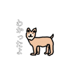 タロスケくんの素敵すぎるスタンプ 動物編（個別スタンプ：1）