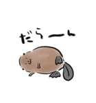 ゆるビーバーズ（個別スタンプ：22）