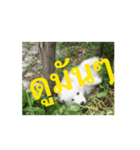 いたずらなジニー（個別スタンプ：4）