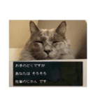 わさびという猫です（個別スタンプ：35）