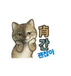 動くミュミュ、かわいすぎて止まらない！（個別スタンプ：1）