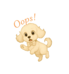 可愛いトイプードル②ホワイト（個別スタンプ：7）