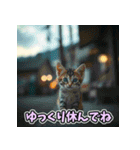 癒し×ねこの日常のフュージョンスタンプ（個別スタンプ：37）