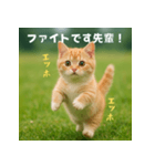 エッホエッホ先輩に捧げる猫（個別スタンプ：2）