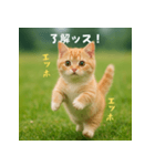 エッホエッホ先輩に捧げる猫（個別スタンプ：4）