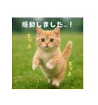 エッホエッホ先輩に捧げる猫（個別スタンプ：7）