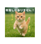 エッホエッホ先輩に捧げる猫（個別スタンプ：9）
