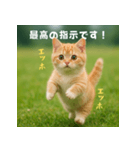 エッホエッホ先輩に捧げる猫（個別スタンプ：18）