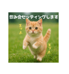 エッホエッホ先輩に捧げる猫（個別スタンプ：20）