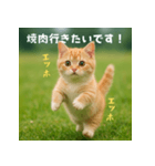 エッホエッホ先輩に捧げる猫（個別スタンプ：22）