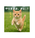 エッホエッホ先輩に捧げる猫（個別スタンプ：23）