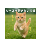 エッホエッホ先輩に捧げる猫（個別スタンプ：24）