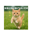 エッホエッホ先輩に捧げる猫（個別スタンプ：25）