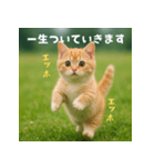 エッホエッホ先輩に捧げる猫（個別スタンプ：26）