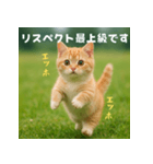 エッホエッホ先輩に捧げる猫（個別スタンプ：28）