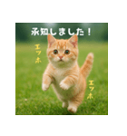 エッホエッホ先輩に捧げる猫（個別スタンプ：30）