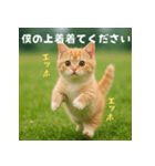 エッホエッホ先輩に捧げる猫（個別スタンプ：32）