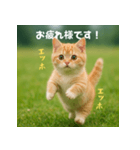 エッホエッホ先輩に捧げる猫（個別スタンプ：38）