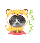 たまお！（個別スタンプ：1）