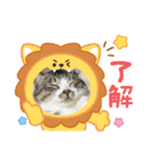 たまお！（個別スタンプ：2）