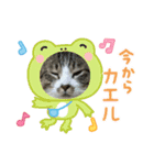 たまお！（個別スタンプ：6）