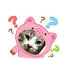 たまお！（個別スタンプ：9）