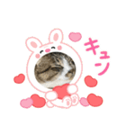 たまお！（個別スタンプ：11）
