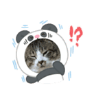 たまお！（個別スタンプ：12）