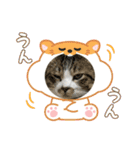 たまお！（個別スタンプ：14）