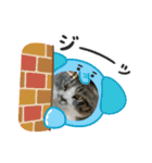 たまお！（個別スタンプ：16）