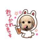 ポメプーらん君（個別スタンプ：4）